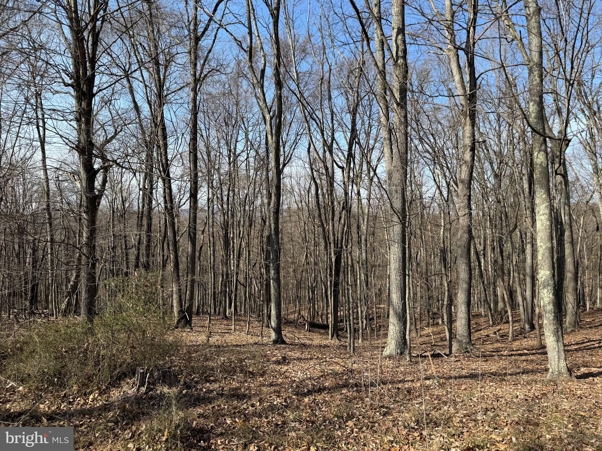 Orleans Rd #Lot 2