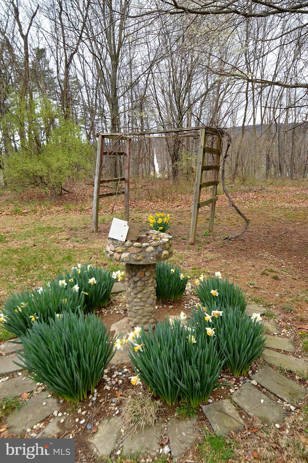 62 Spiceberry Ln