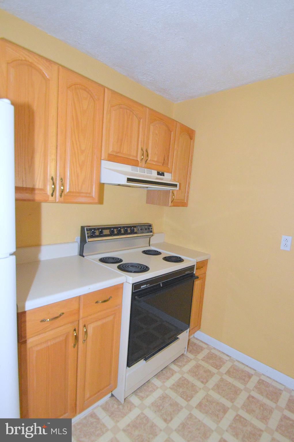 62 Spiceberry Ln