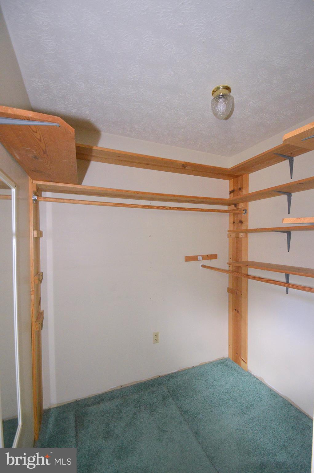 62 Spiceberry Ln