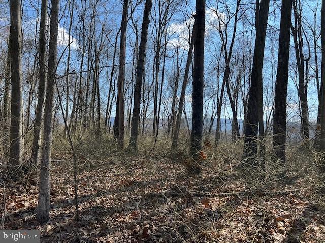 Lot #45 Hickory Hollow Rd