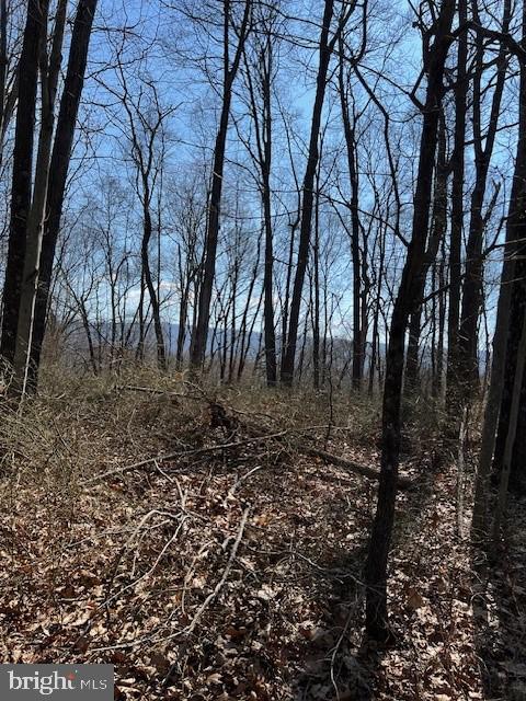 Lot #45 Hickory Hollow Rd