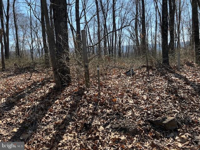 Lot #45 Hickory Hollow Rd