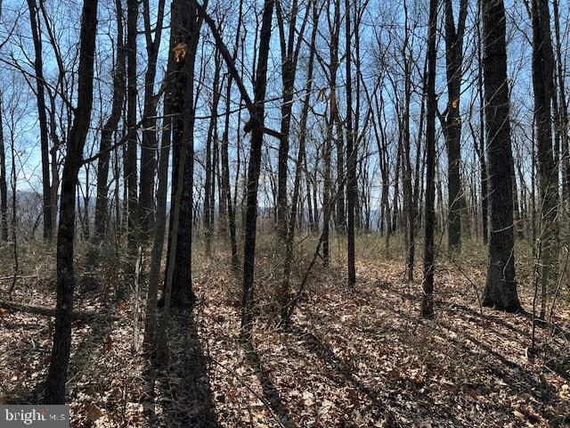 Lot #45 Hickory Hollow Rd