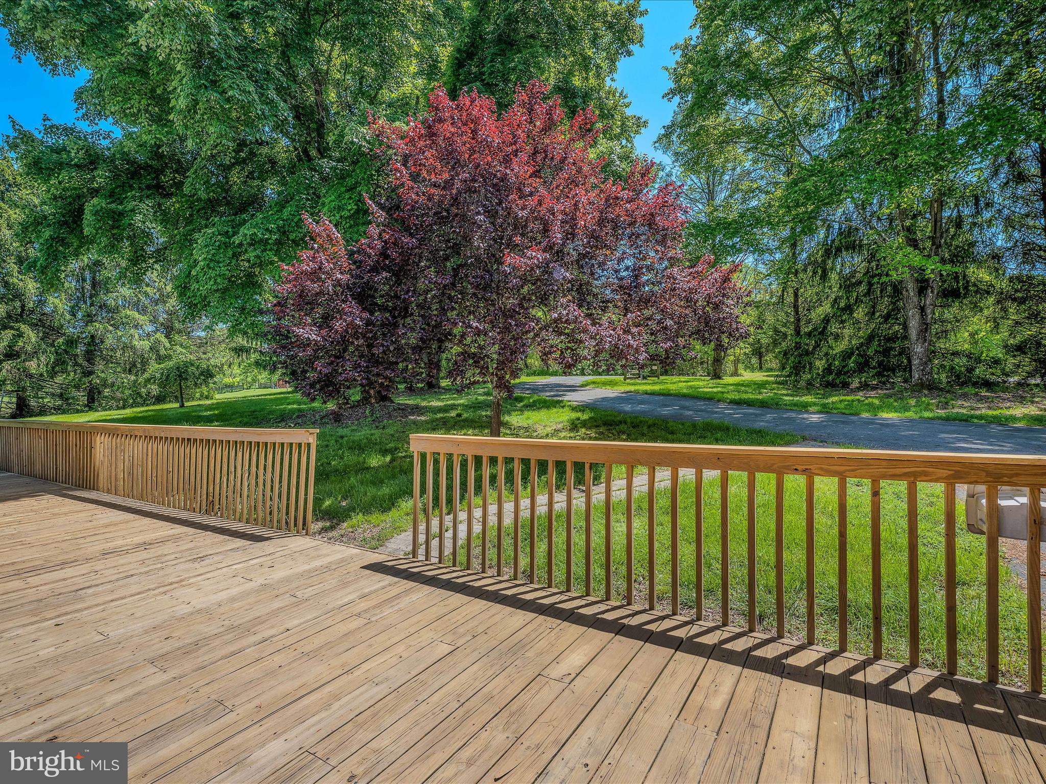 269 Harperella Ln