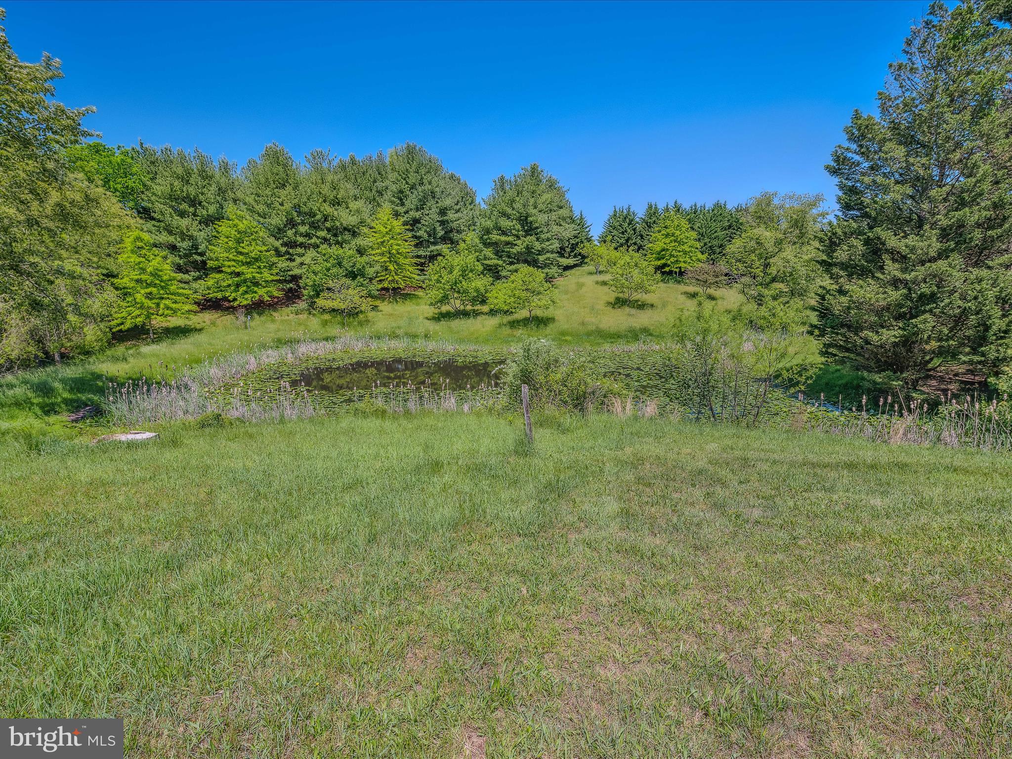 269 Harperella Ln