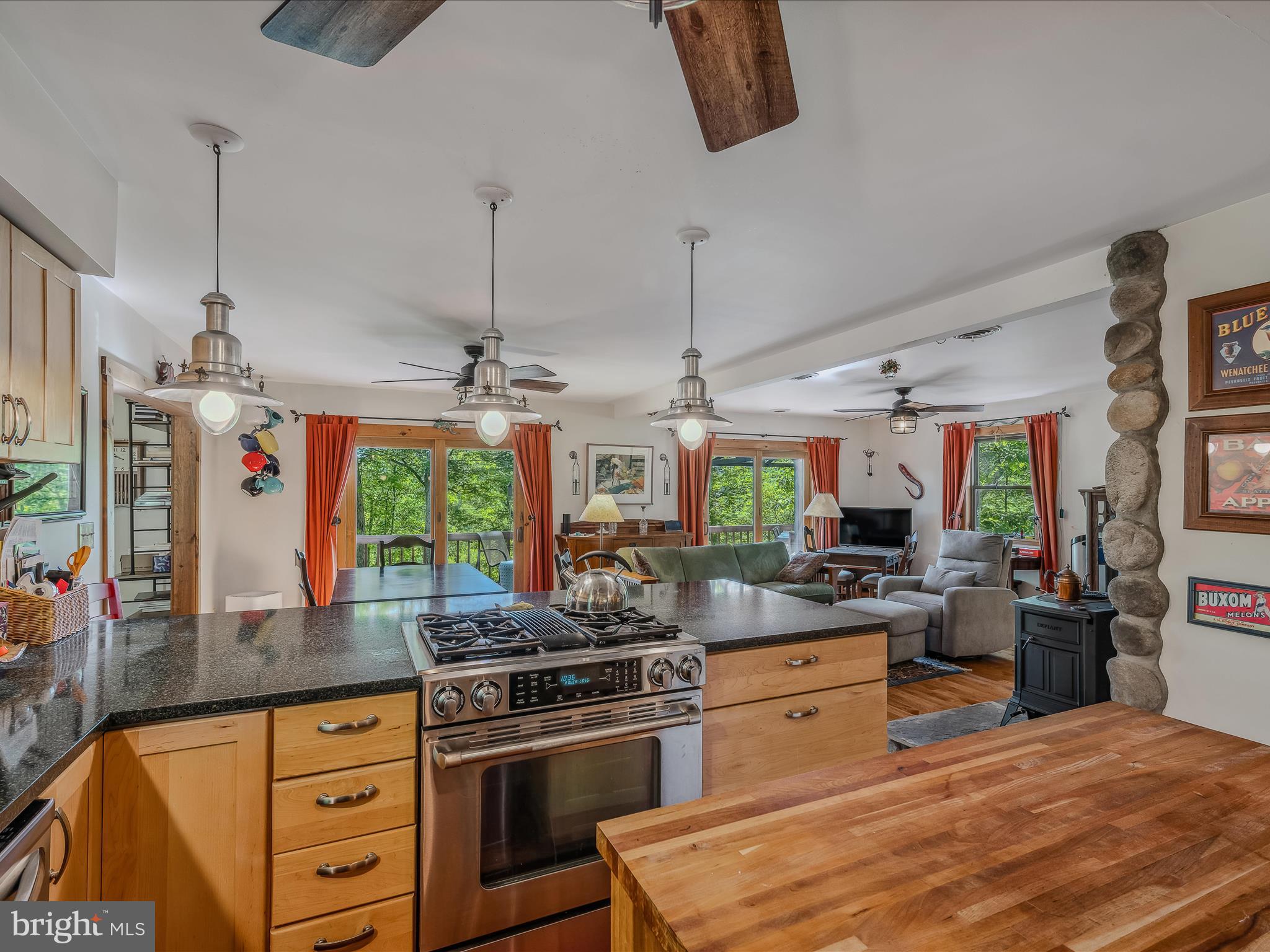 126 Old Mill Manor Ct