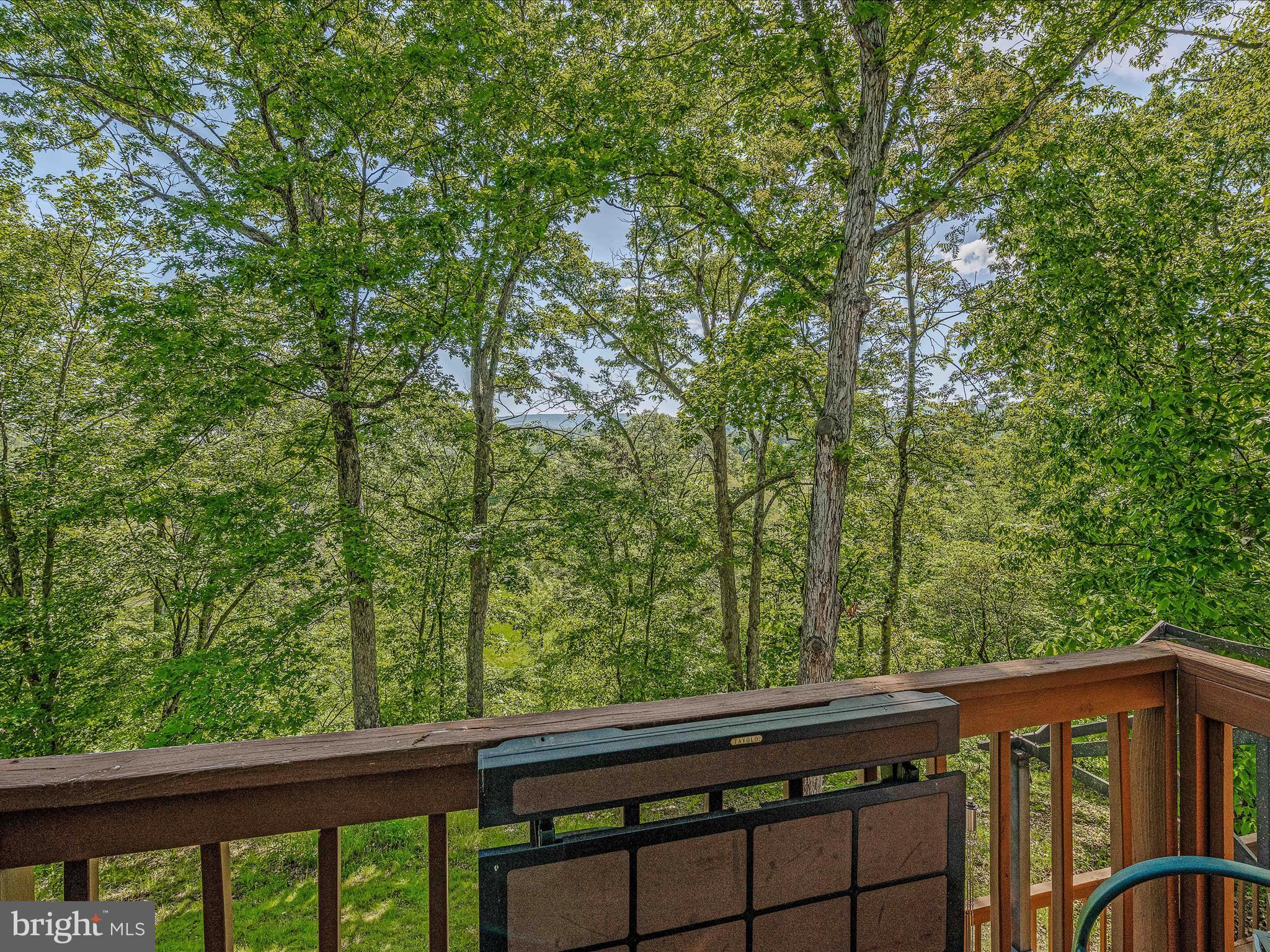126 Old Mill Manor Ct
