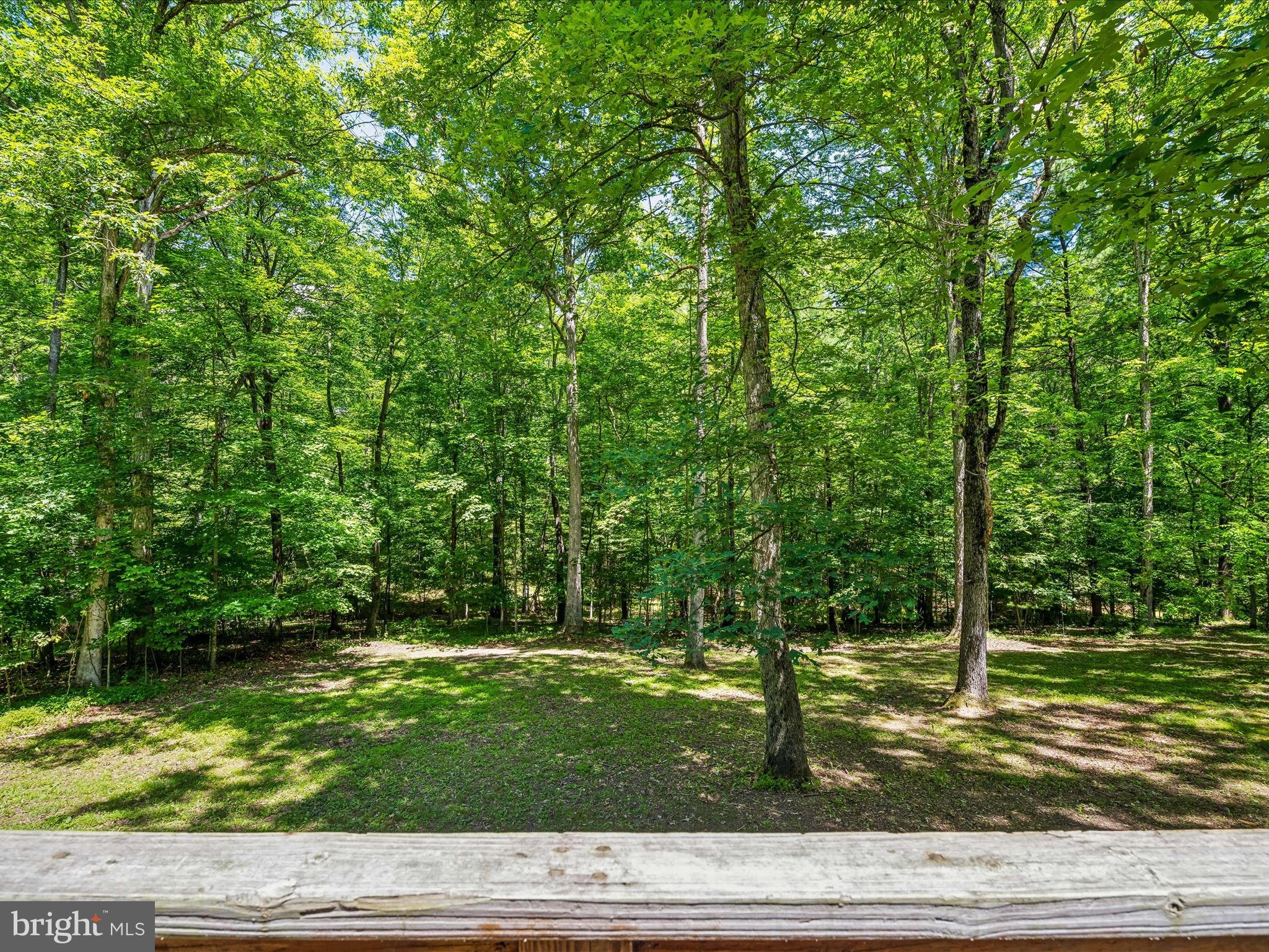 98 Nightshade Ln