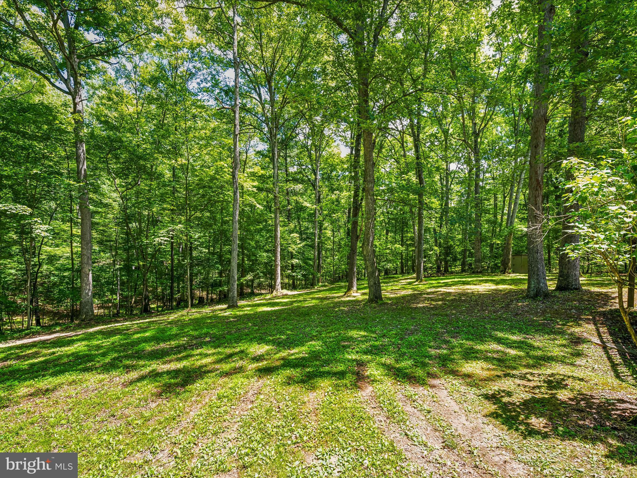 98 Nightshade Ln