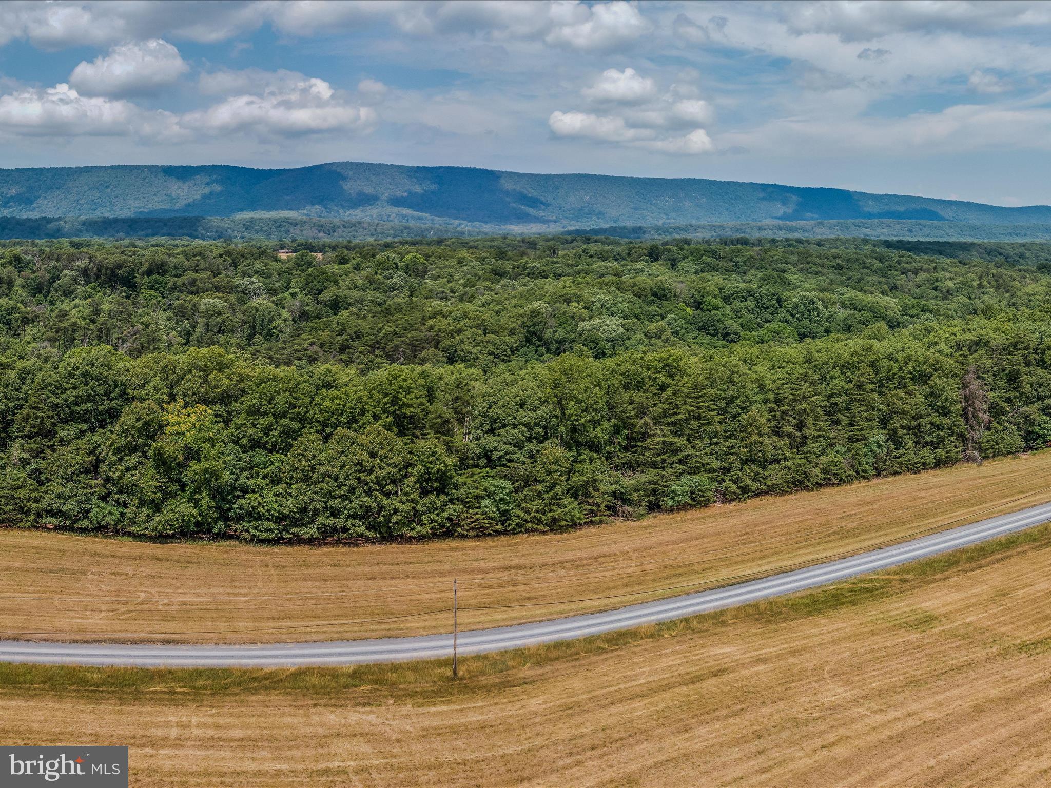 Libby's Ridge