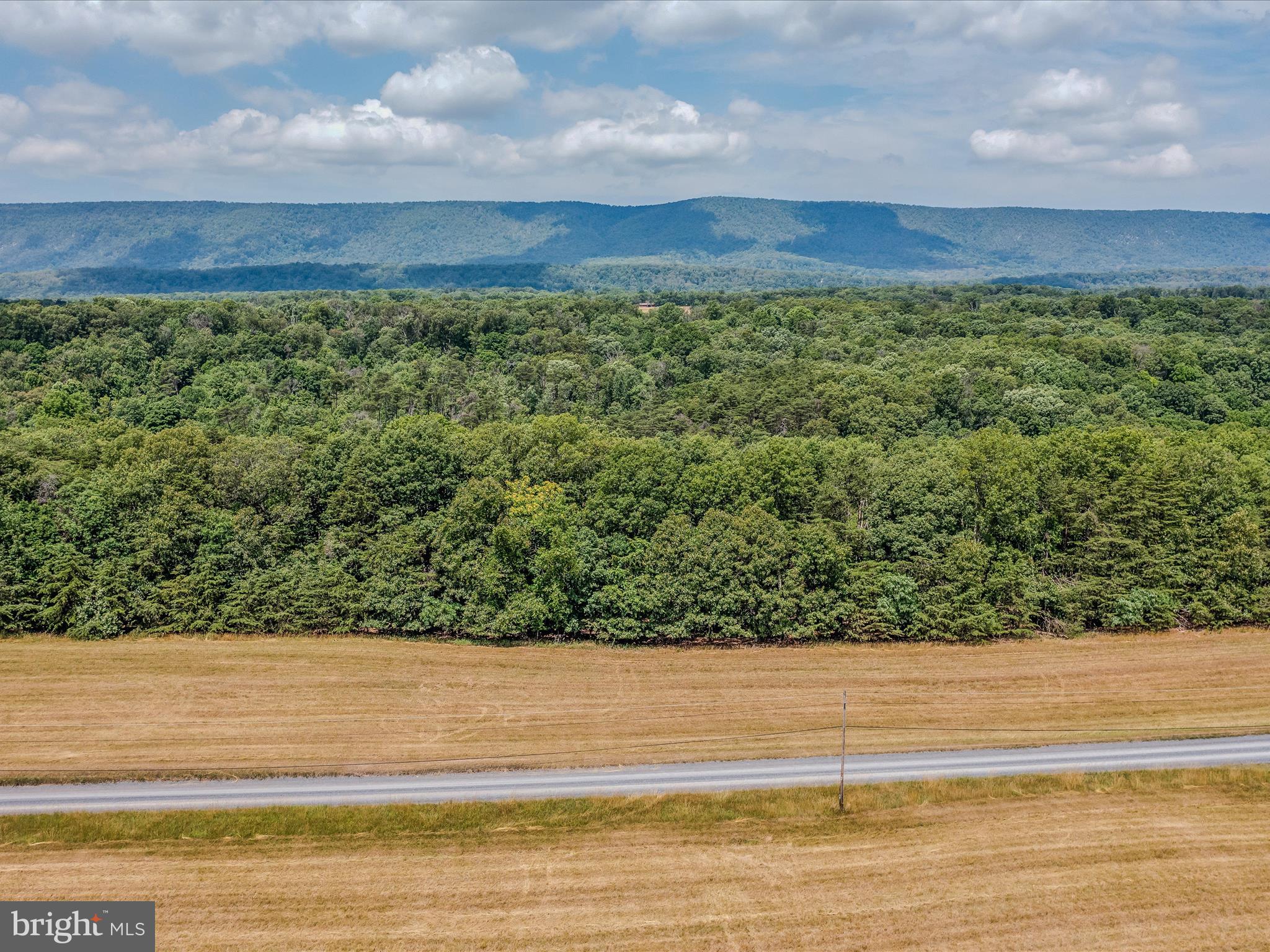 Libby's Ridge