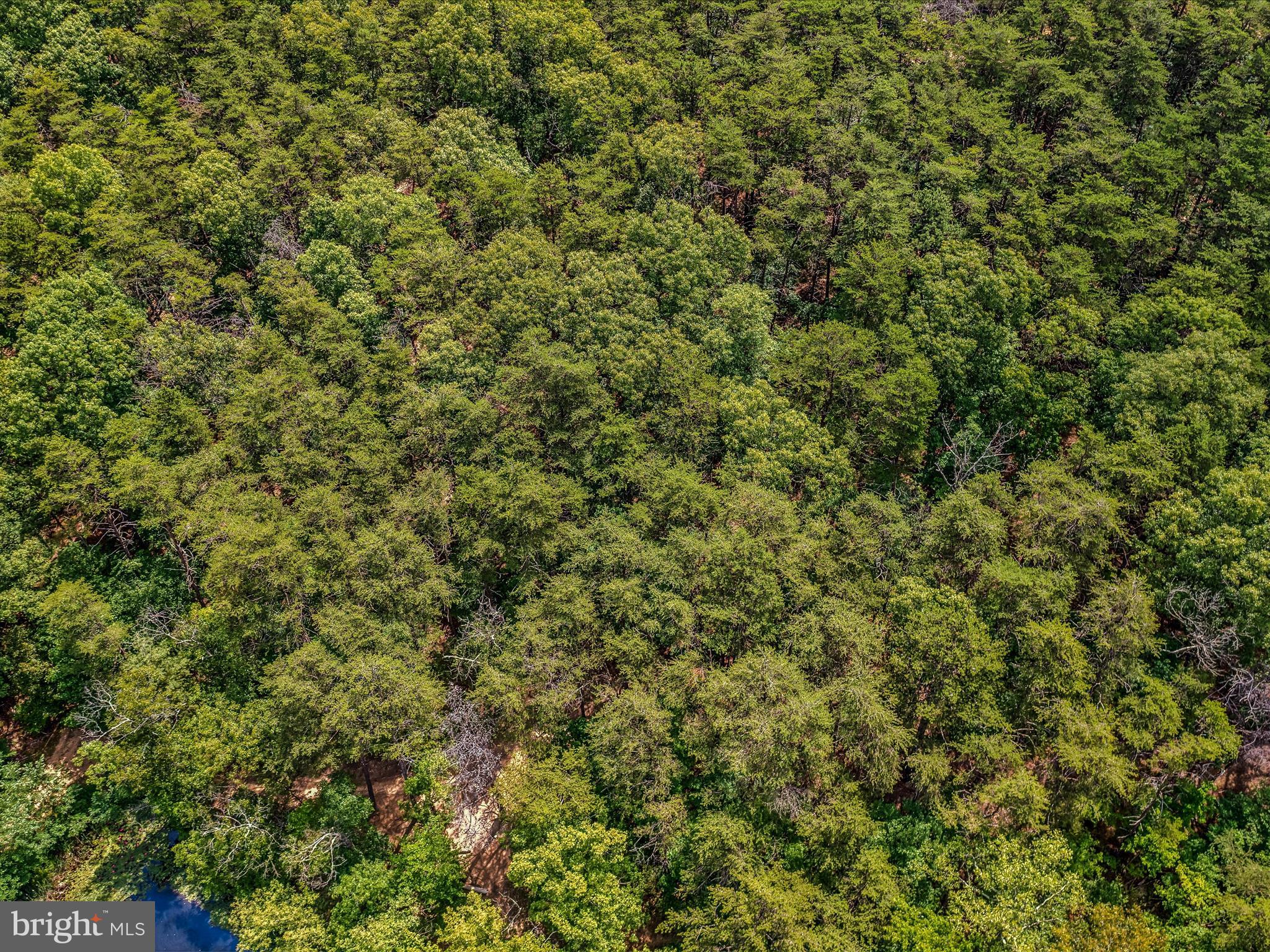 Libby's Ridge