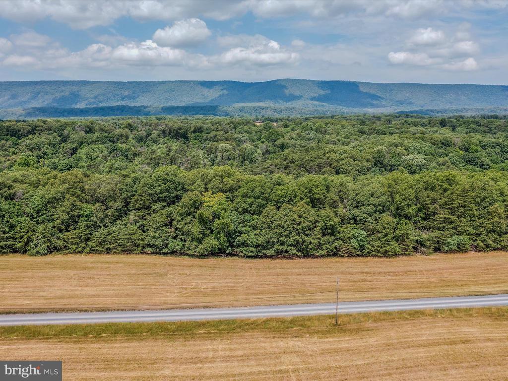 Libby's Ridge