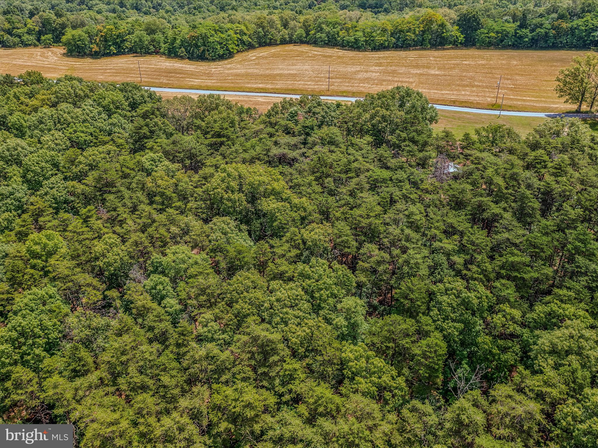 Libby's Ridge