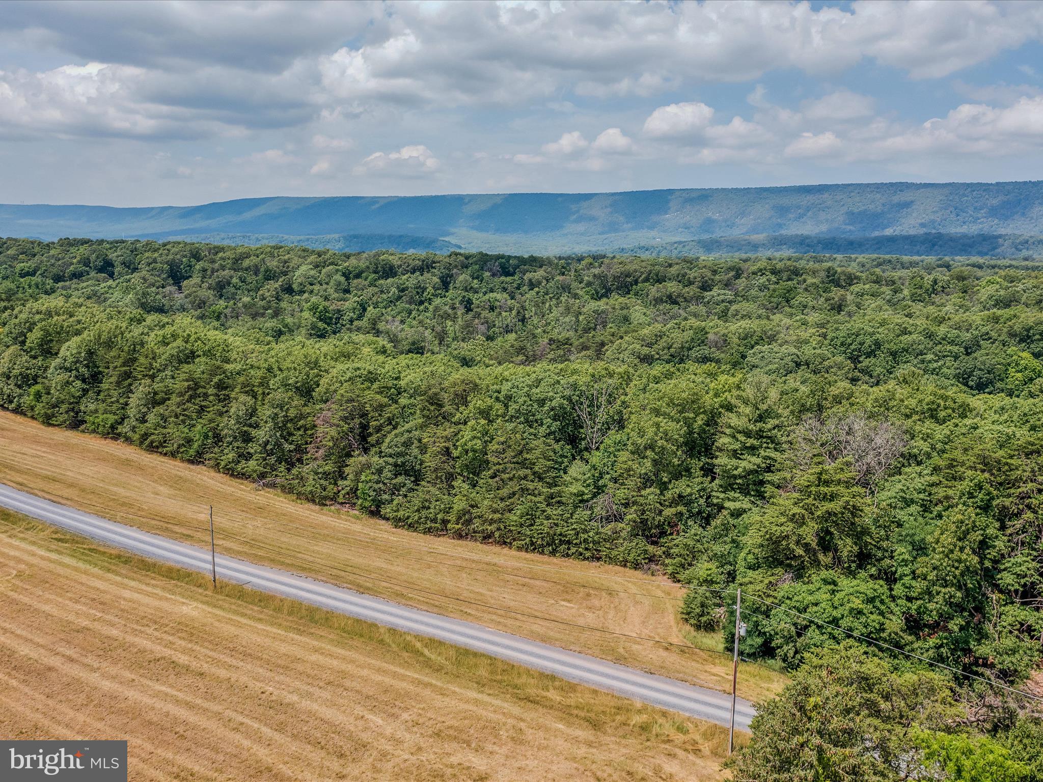 Libby's Ridge