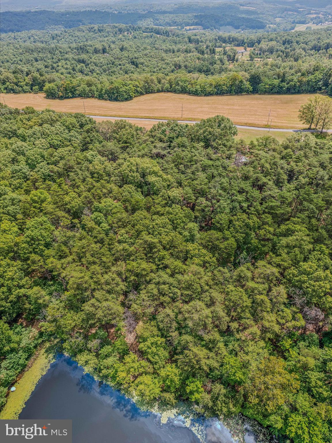 Libby's Ridge