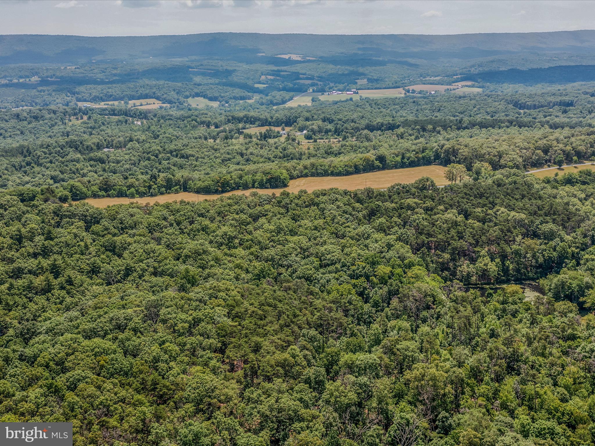 Libby's Ridge