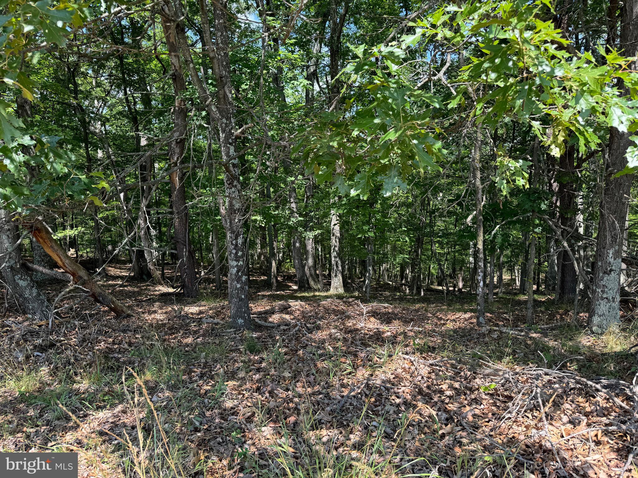 Libby's Ridge