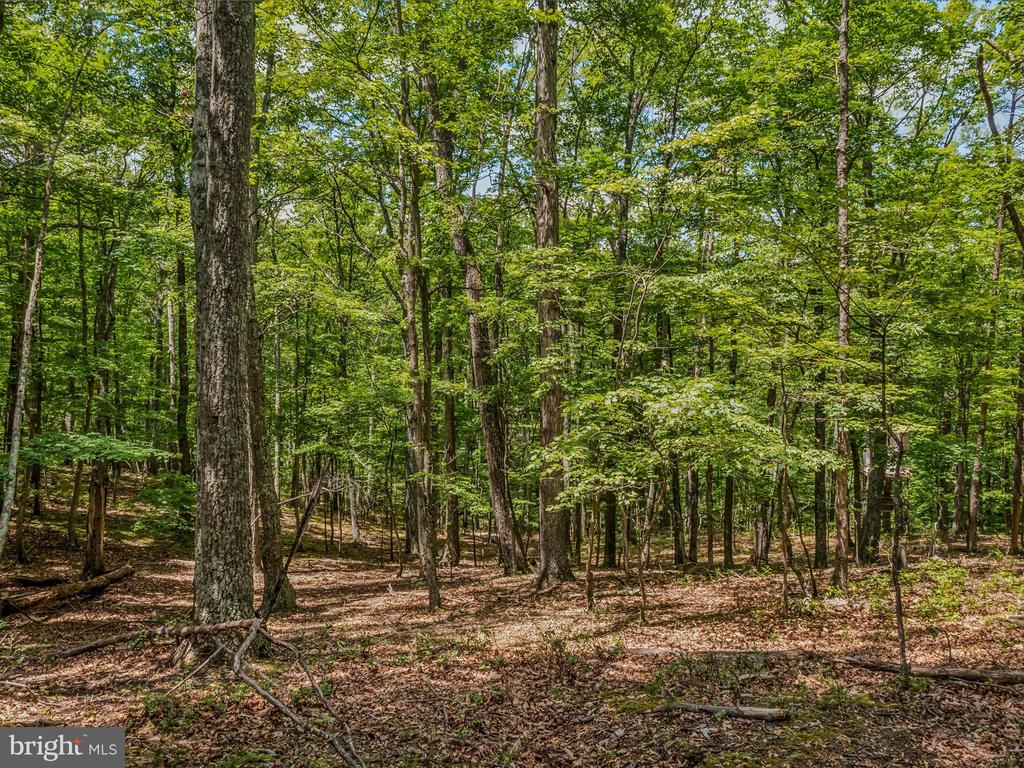 Libby's Ridge