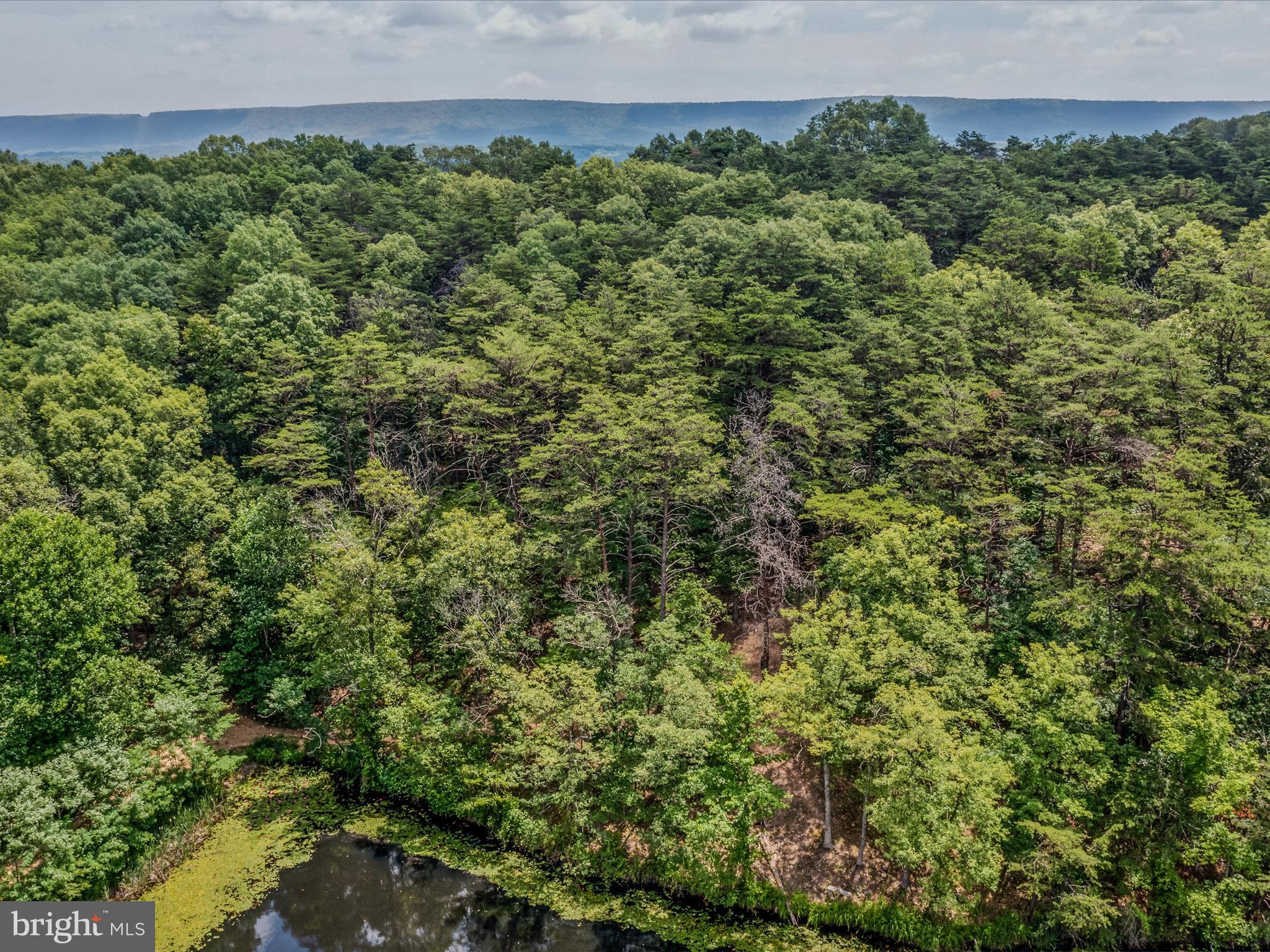 Libby's Ridge