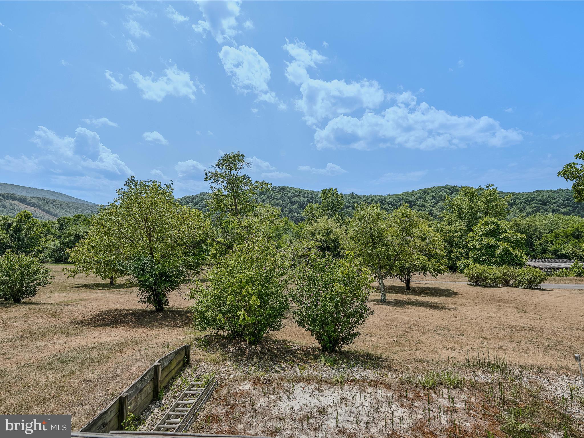 3815 Orleans Rd