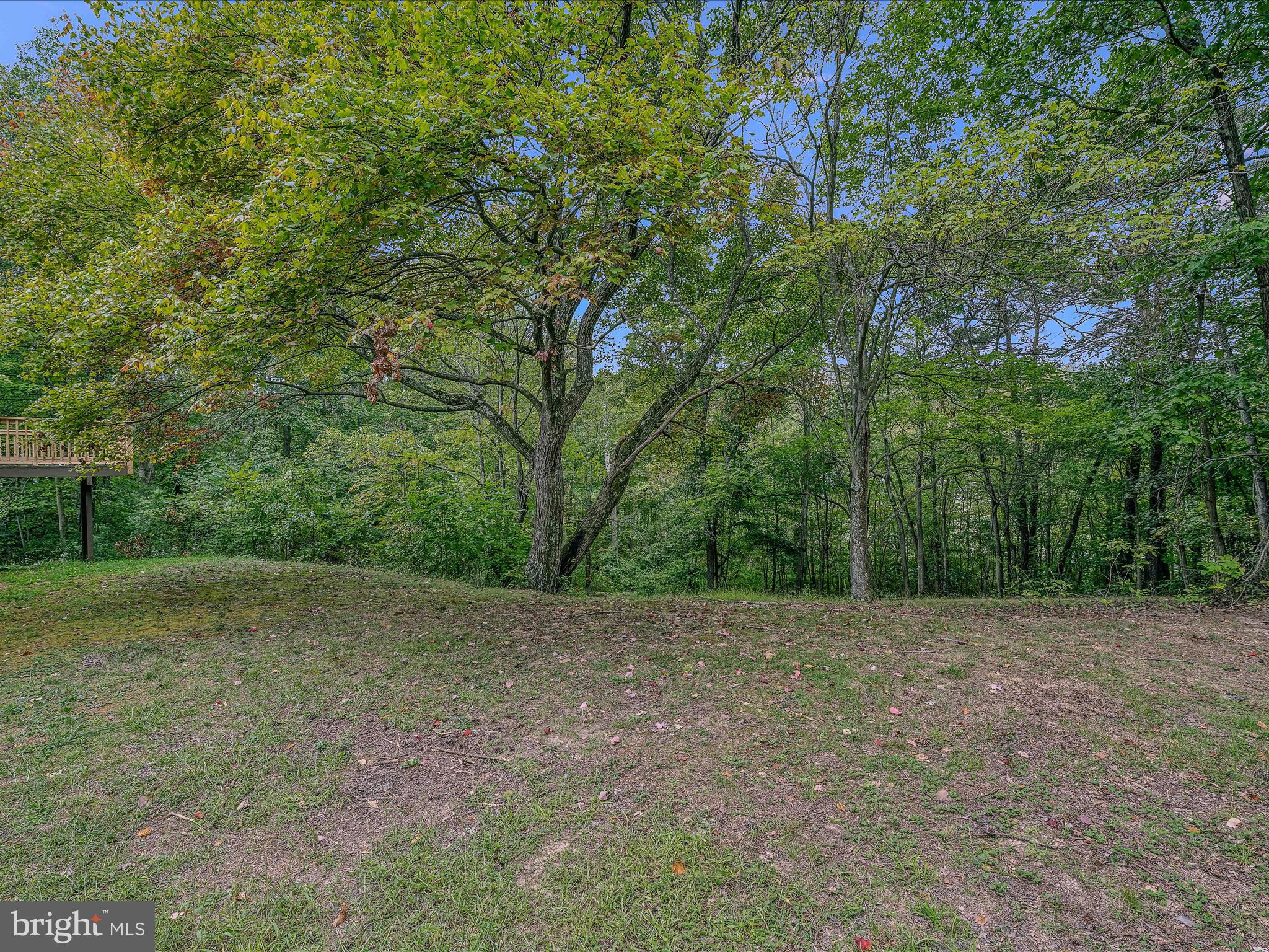 116 Fern Place Ln
