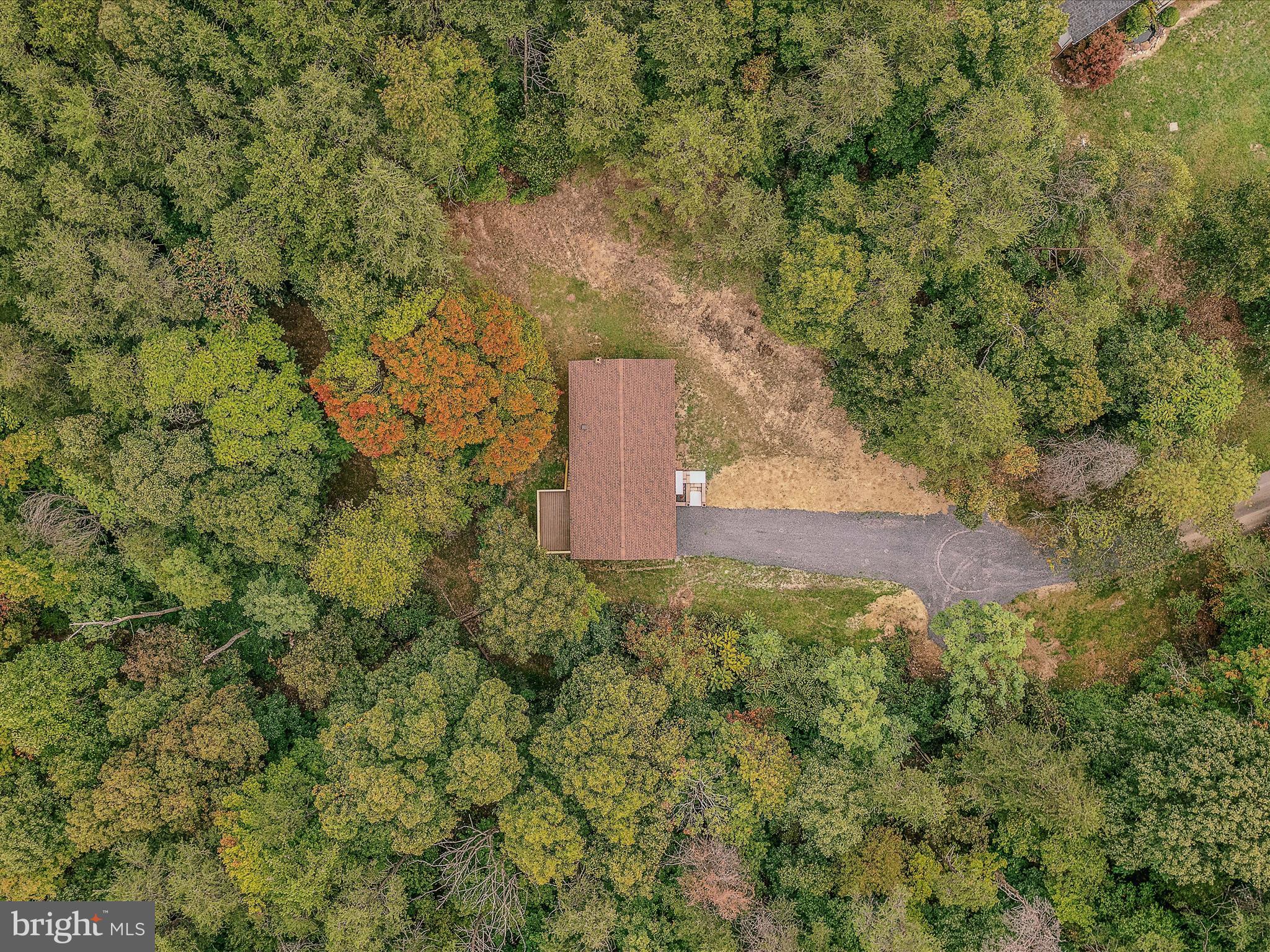 116 Fern Place Ln