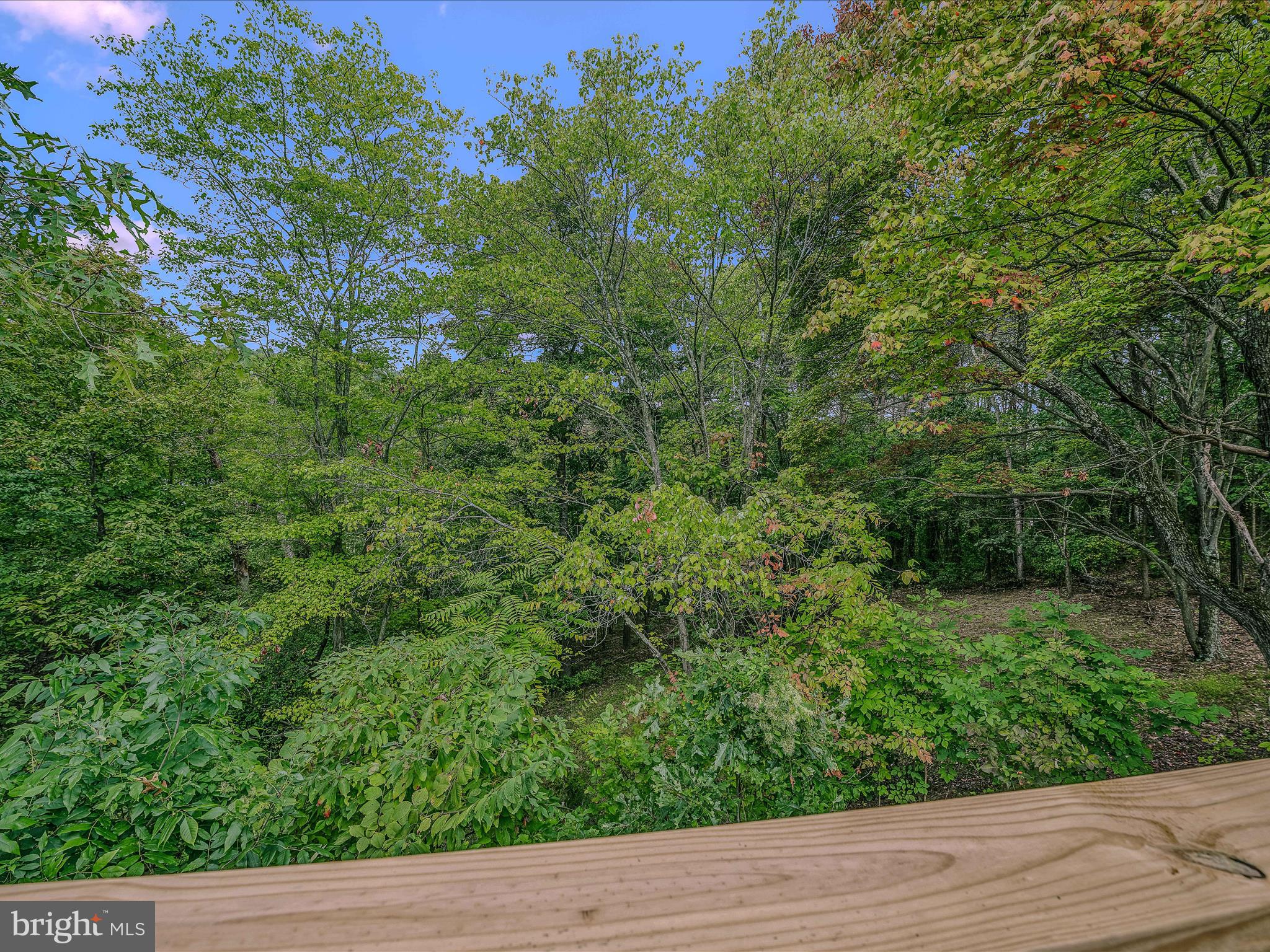 116 Fern Place Ln