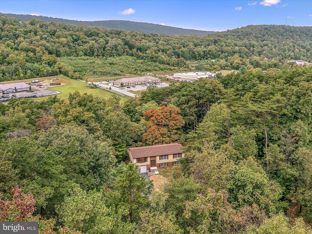 116 Fern Place Ln