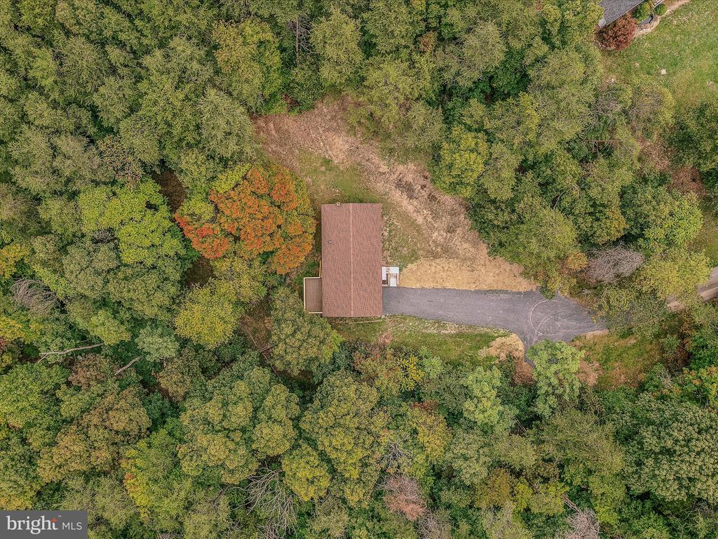 116 Fern Place Ln