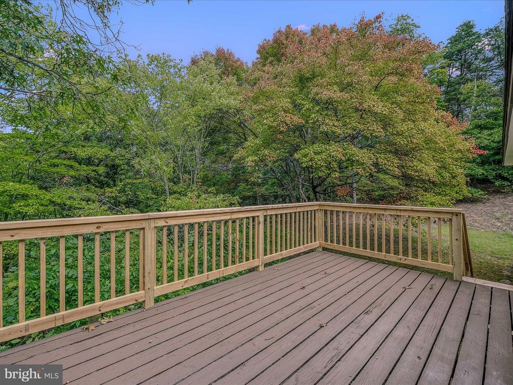 116 Fern Place Ln