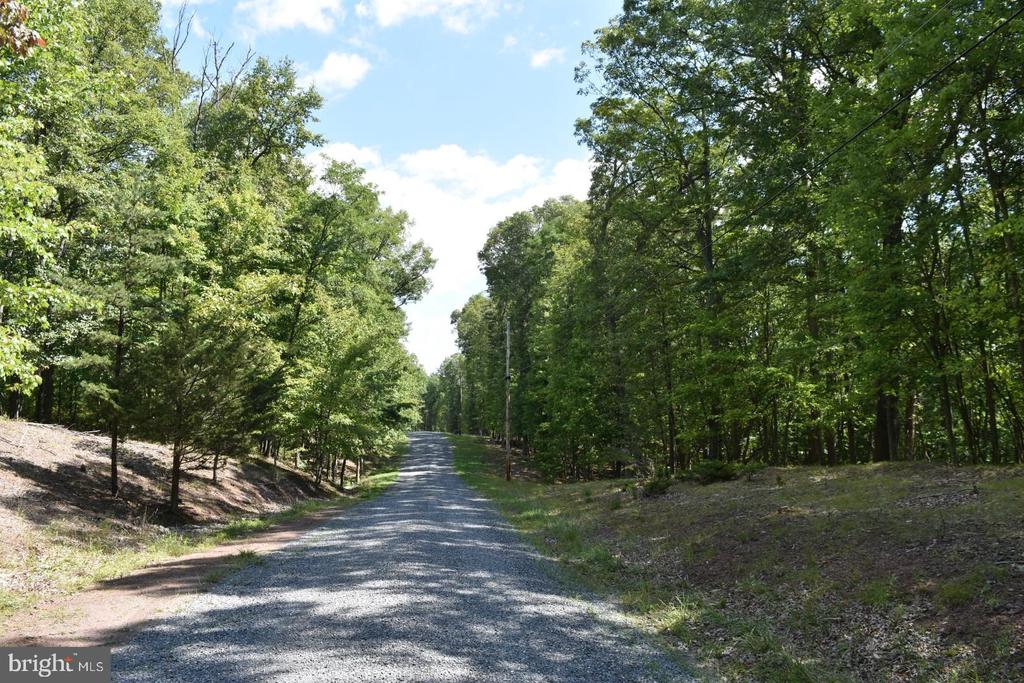 Honey Locust Ln