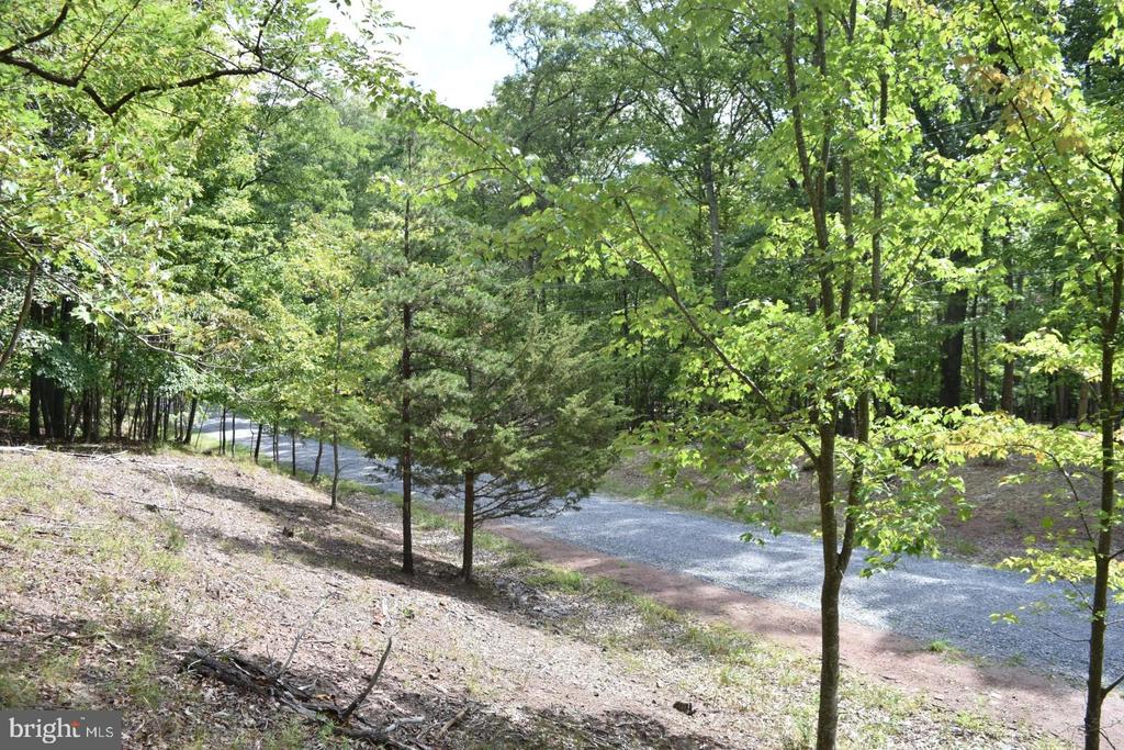 Honey Locust Ln