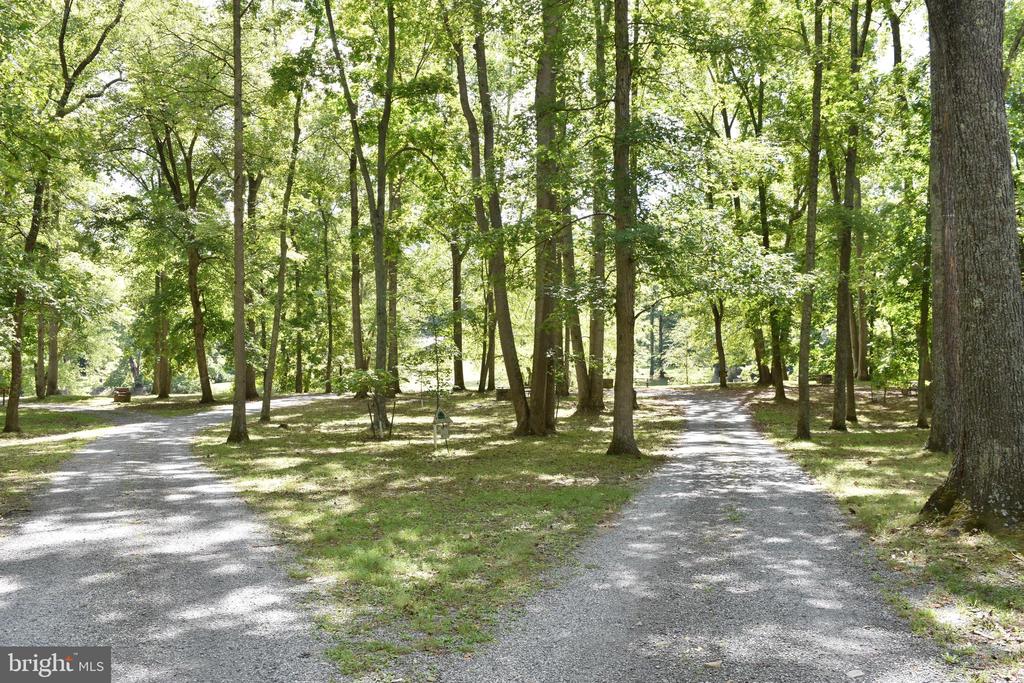 Honey Locust Ln