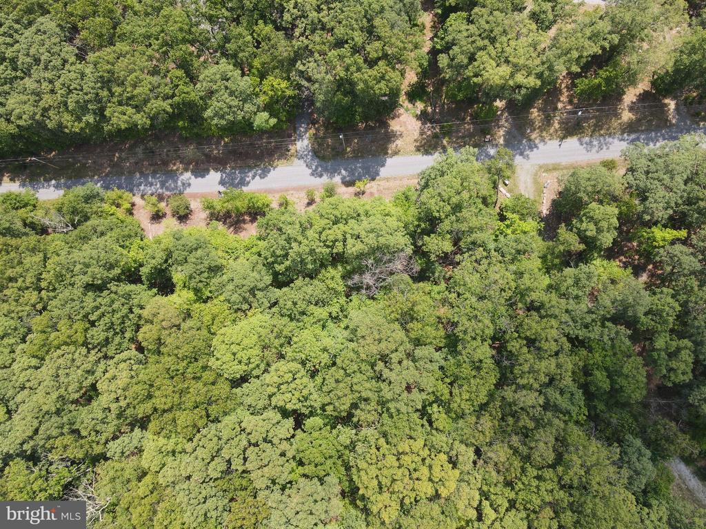 Honey Locust Ln