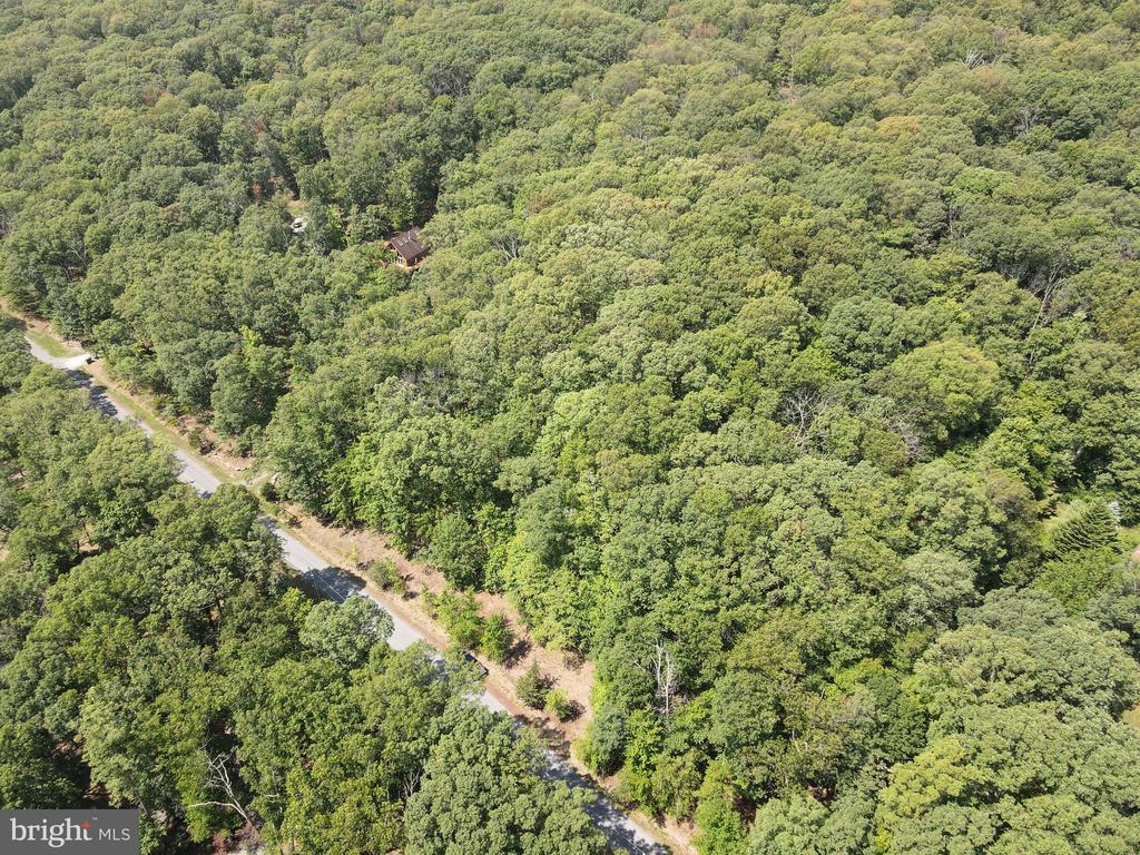 Honey Locust Ln