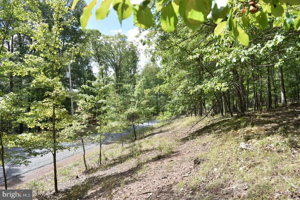 Honey Locust Ln