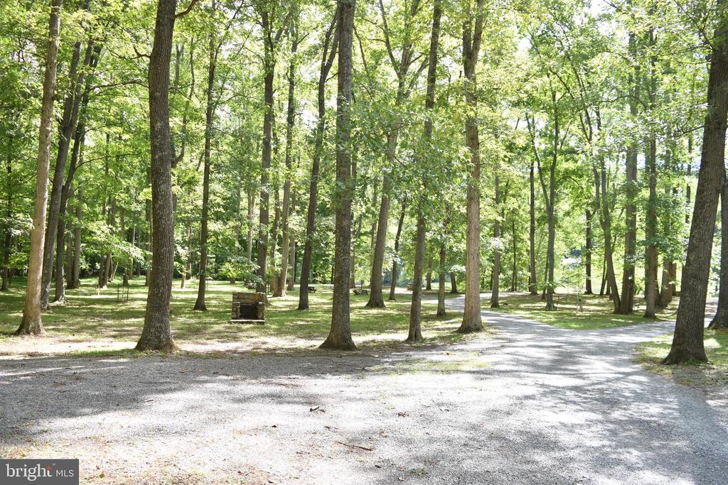 Honey Locust Ln