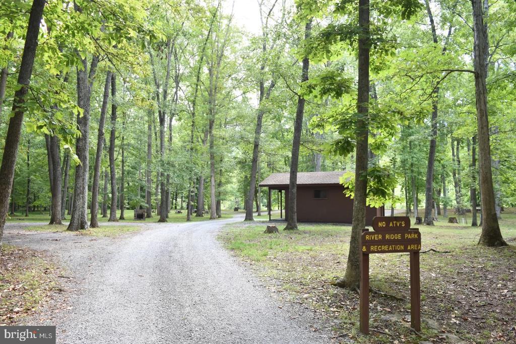 Honey Locust Ln