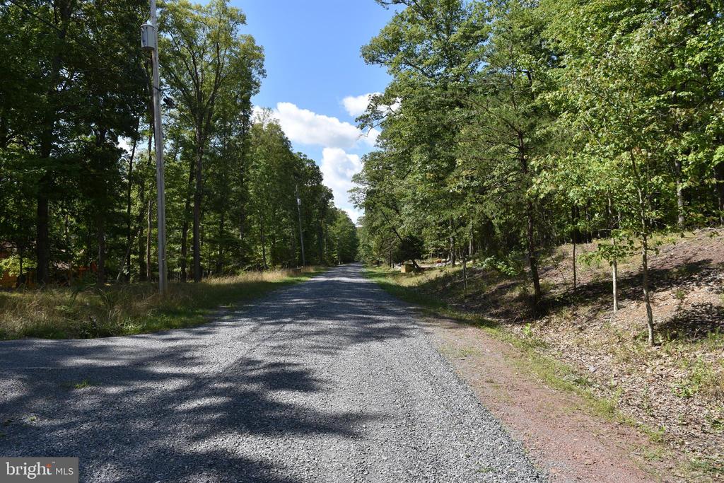 Honey Locust Ln