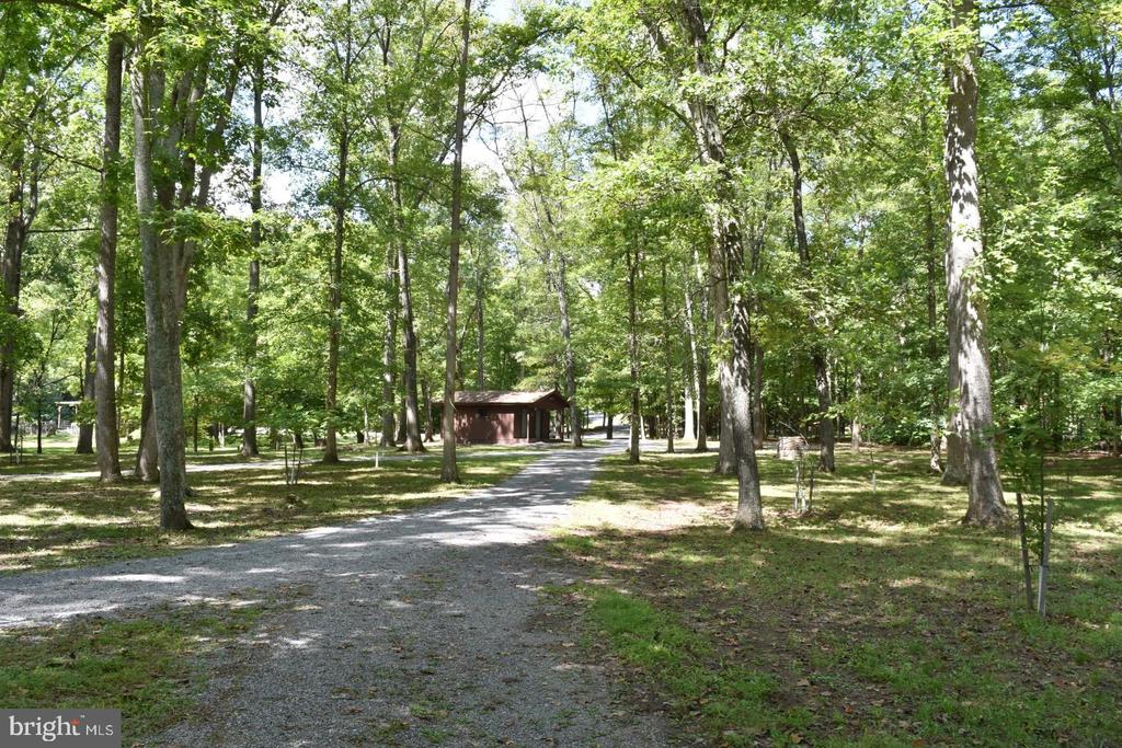Honey Locust Ln