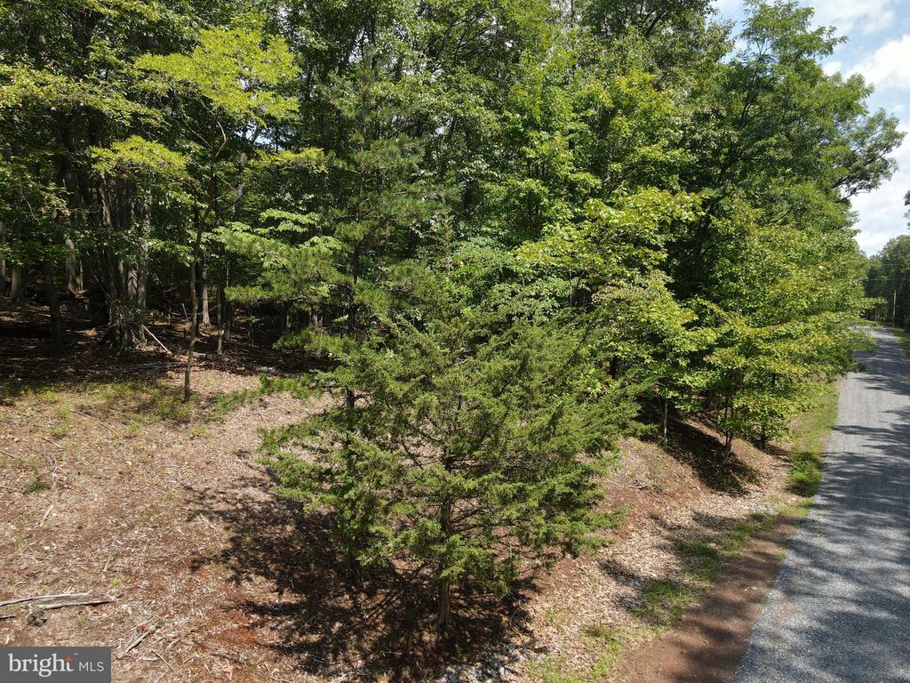 Honey Locust Ln
