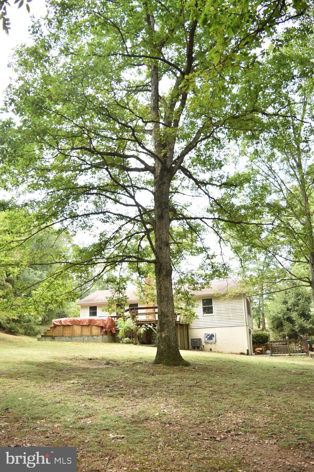 300 Little Creek Trl