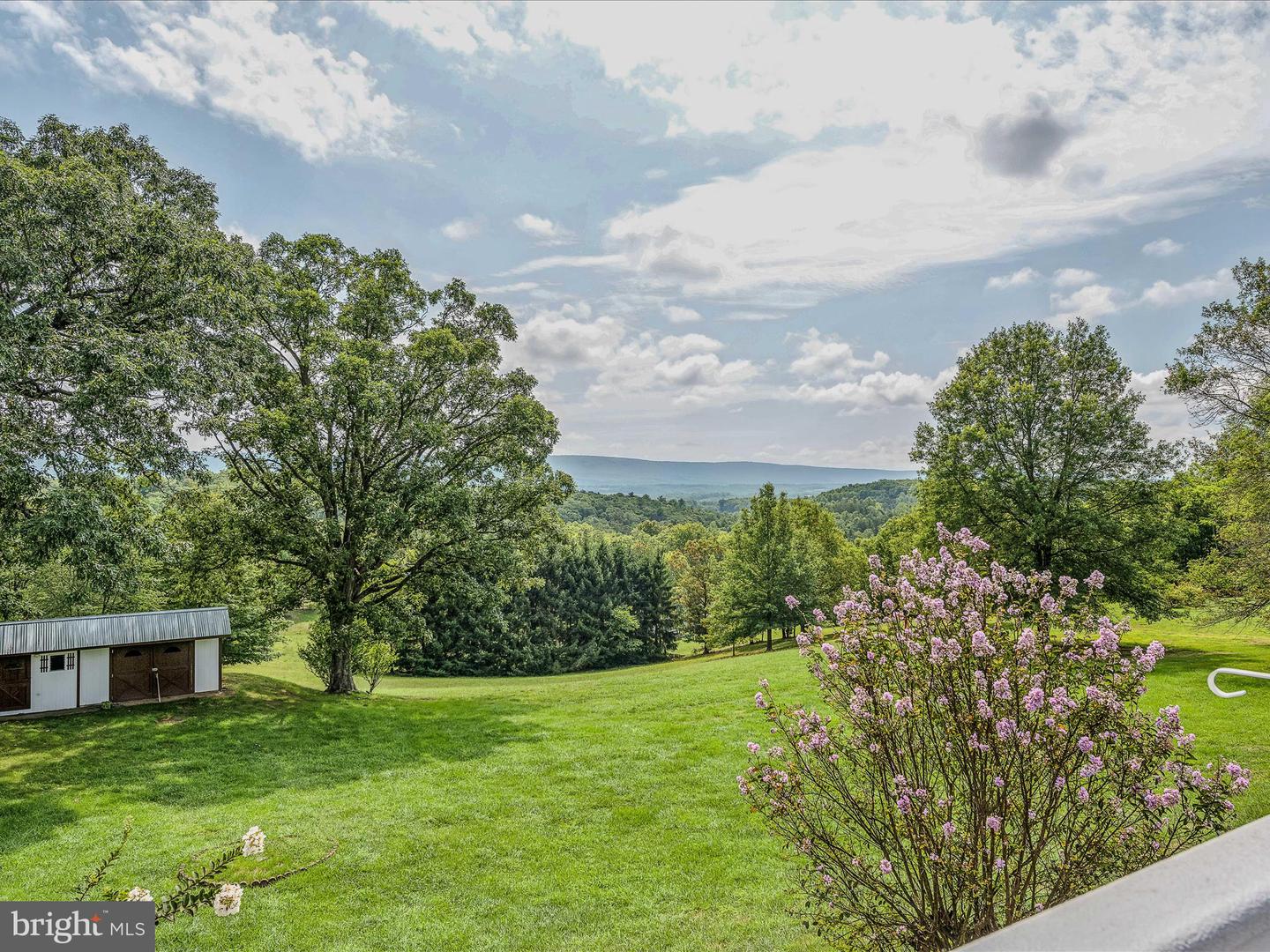 1165 Waugh Rd