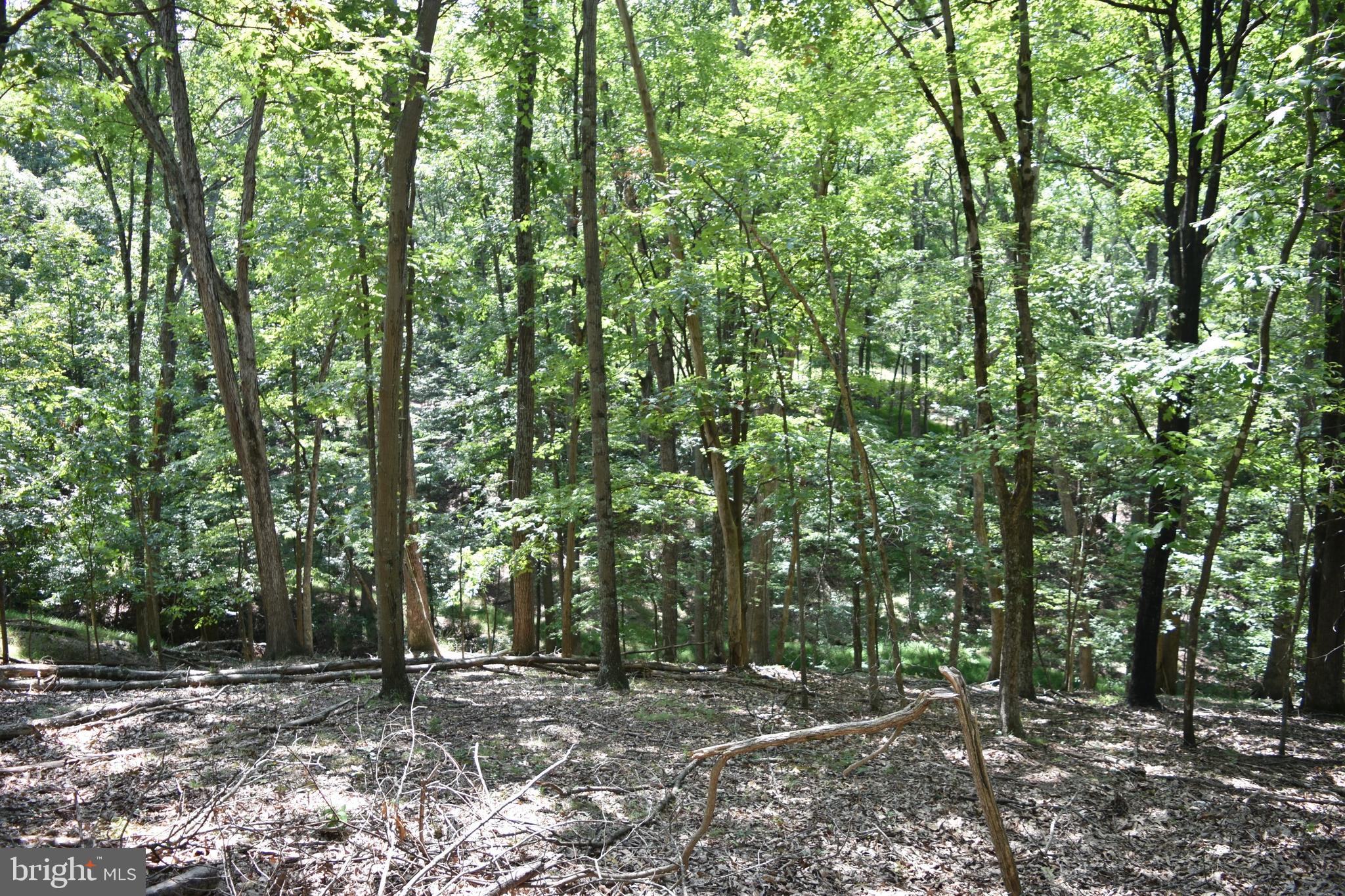 250 Shady Brook Dr