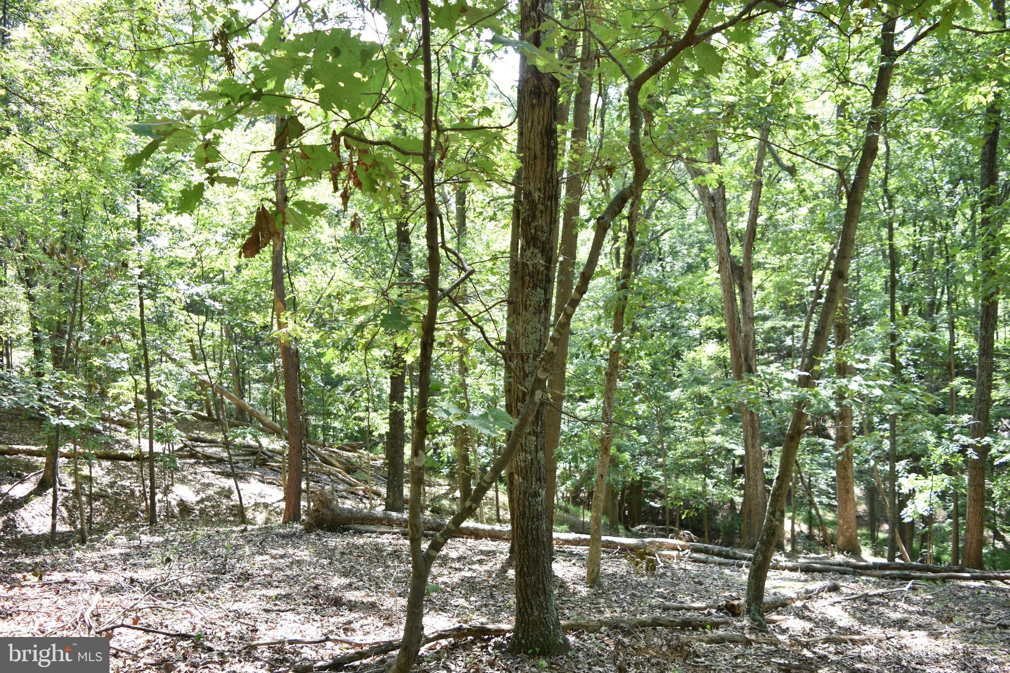 250 Shady Brook Dr