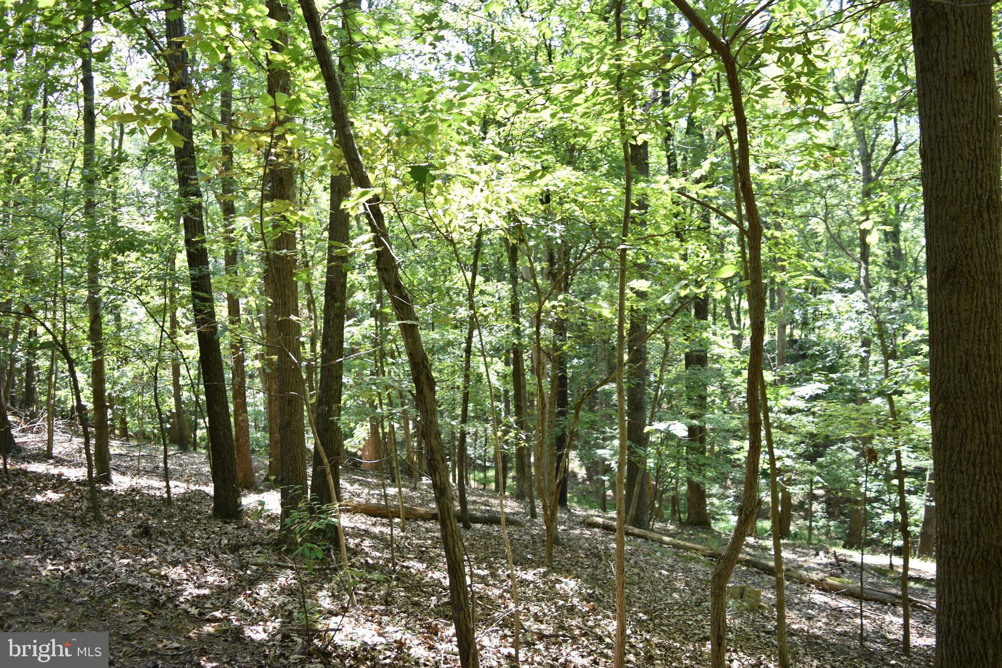 250 Shady Brook Dr