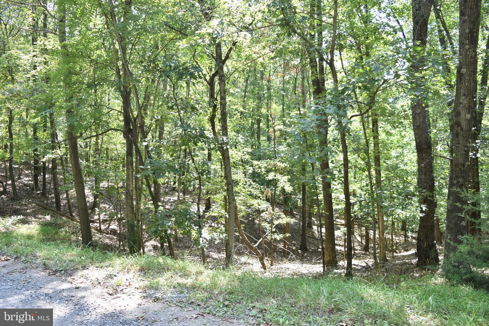 250 Shady Brook Dr