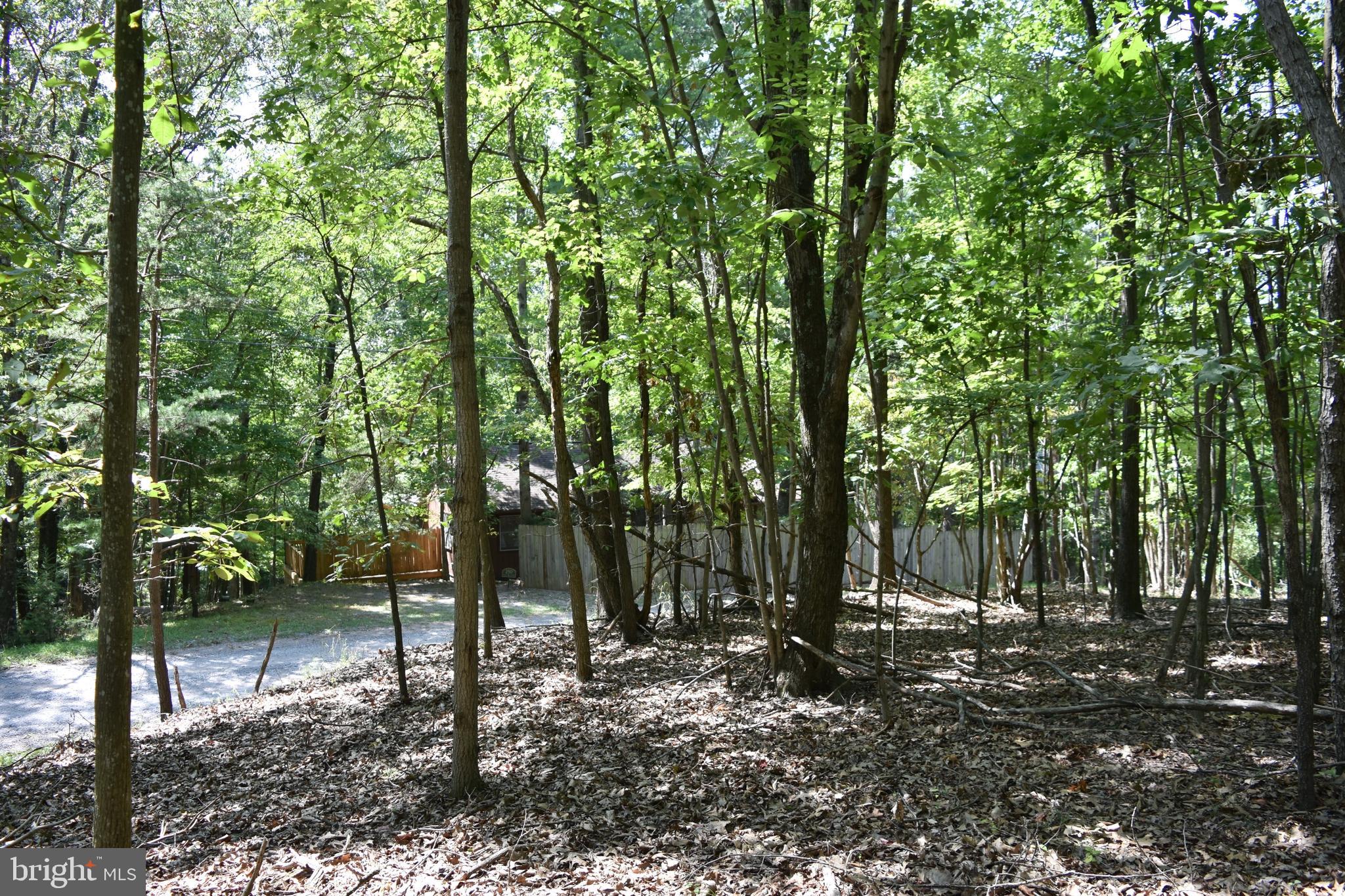 250 Shady Brook Dr
